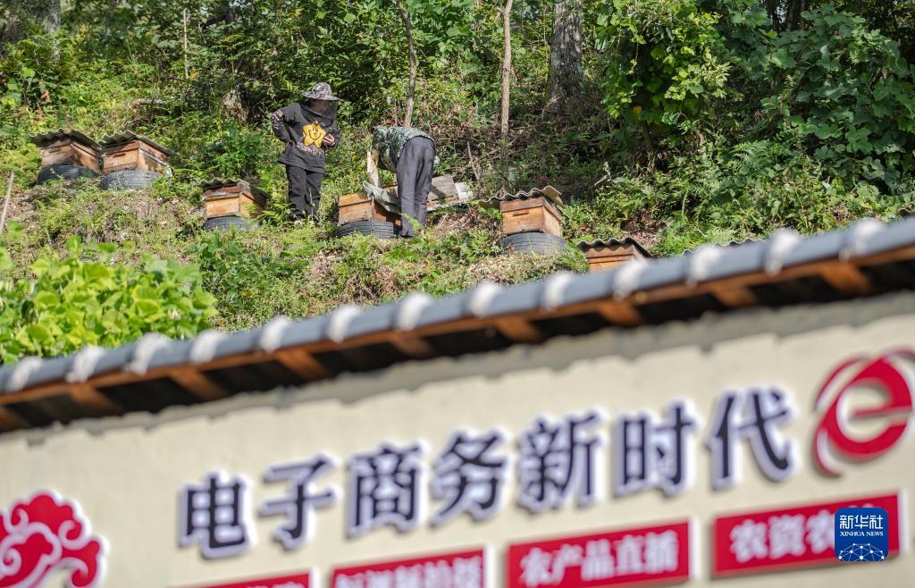 注册就送38可微信提现